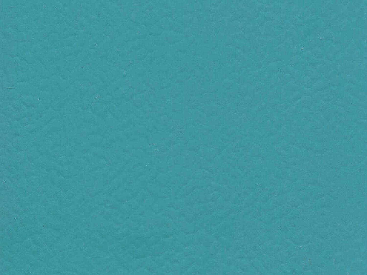 6431 TEAL