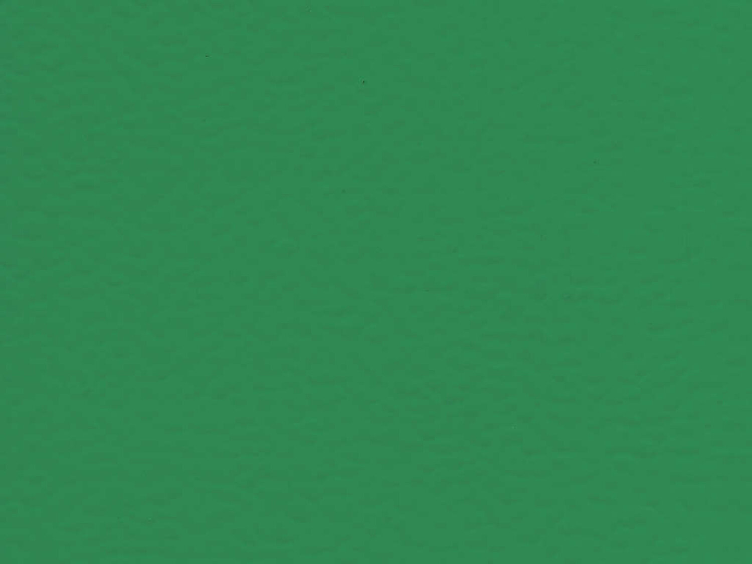 6563 MENTA