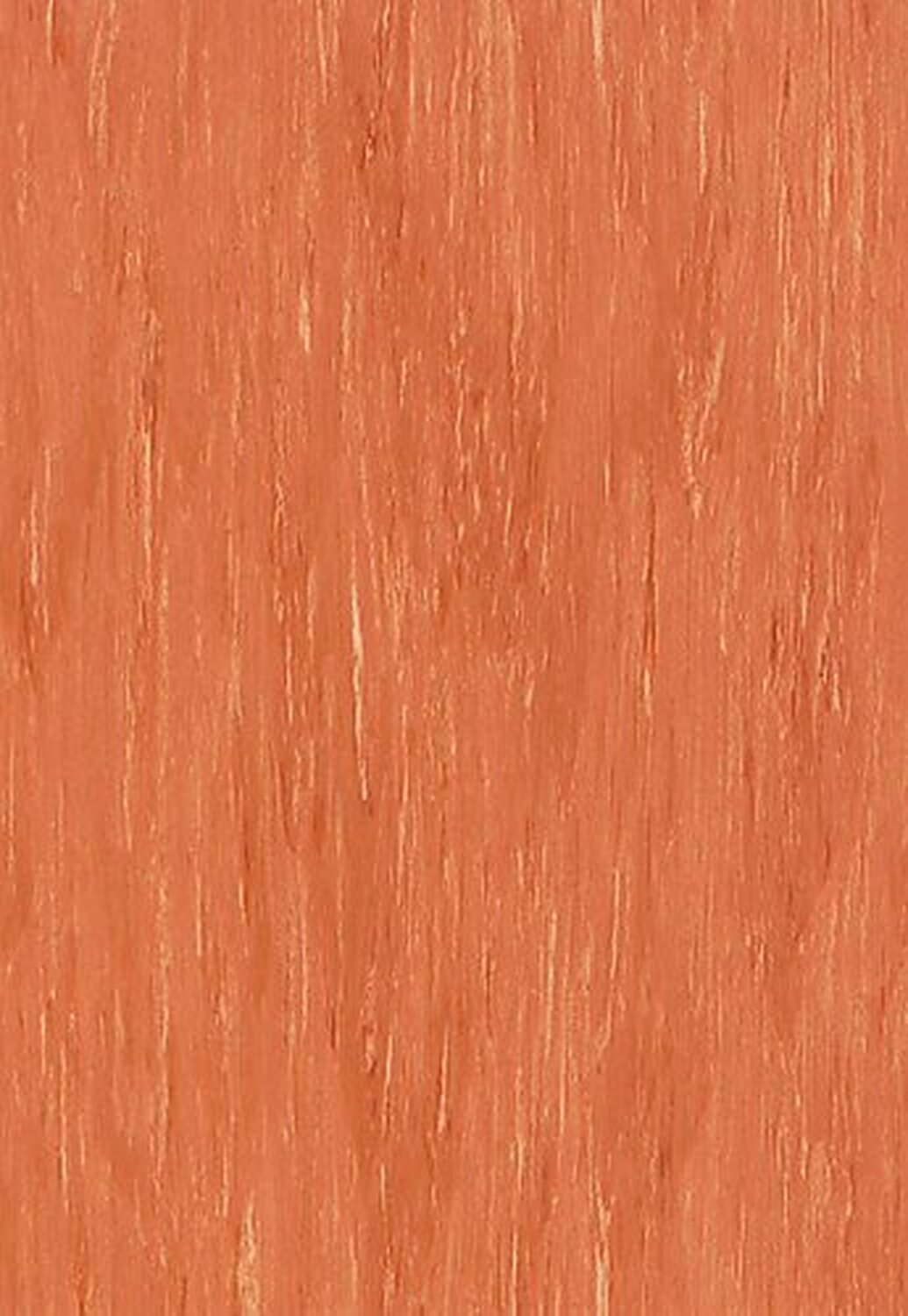 0316 APRICOT
