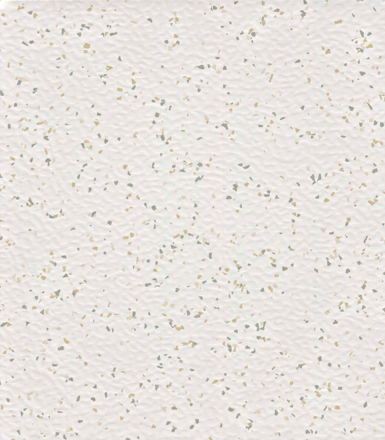 0001 SNOW