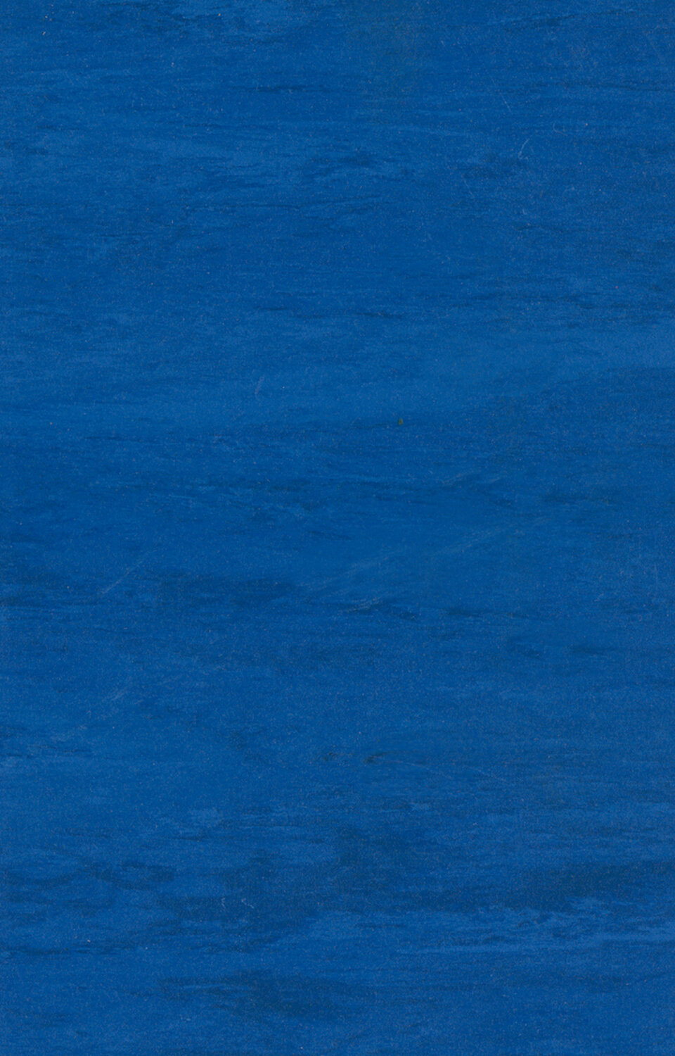 0019 BLUE